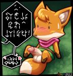  amuzoreh anthro balls bottomless canid canine clothed clothing erection fox fur genitals hi_res humanoid_genitalia male mammal orange_body orange_fur ruin_seeker shy simple_background solo solo_focus text translation_request tunic 