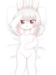  anthro bed bedding bedding_background dakimakura_design female flat_chested fur furniture genitals grey_hair hair hand_on_head hand_on_stomach hi_res inner_ear_fluff kuzuyu lagomorph looking_at_viewer lying mammal neck_tuft on_back on_bed pillow pussy red_eyes solo tuft white_body white_fur young 