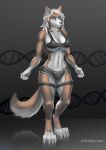  absurd_res anthro bikini bottomwear breasts canid canine canis clothing female frown fur gm_chiou_(artist) green_eyes hair hi_res hotpants mammal muscular shorts solo swimwear were werecanid werecanine werewolf white_body white_fur white_hair wolf 