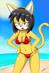  5_fingers anthro beach bikini black_hair black_nose blue_eyes blush breasts clothed clothing day digital_media_(artwork) domestic_cat fangs felid feline felis female fingers fur hair hi_res honey_the_cat humanoid_hands looking_at_another mammal mrthunderigor00 multicolored_body multicolored_fur navel open_mouth red_bikini red_clothing red_swimwear sand sea seaside sega signature solo sonic_the_fighters sonic_the_hedgehog_(series) sun swimwear tongue two_tone_body two_tone_fur water white_body white_fur yellow_body yellow_fur 