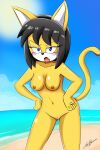  5_fingers anthro beach black_hair black_nose blue_eyes blush breasts day digital_media_(artwork) domestic_cat fangs felid feline felis female fingers fur genitals hair hi_res honey_the_cat humanoid_hands looking_at_another mammal mrthunderigor00 multicolored_body multicolored_fur navel nipples nude open_mouth pussy sand sea seaside sega signature solo sonic_the_fighters sonic_the_hedgehog_(series) sun tongue two_tone_body two_tone_fur water white_body white_fur yellow_body yellow_fur 