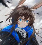  1girl amiya_(arknights) animal_ears arknights black_coat blood blood_on_face blue_choker blue_eyes brown_hair choker closed_mouth cloud cloudy_sky coat day eyebrows_visible_through_hair feathers grey_necktie highres injury long_hair looking_at_viewer low_ponytail motion_blur necktie official_alternate_costume outdoors rabbit_ears sidelocks sky solo spacelongcat striped_necktie upper_body wing_collar 