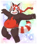  2022 ailurid anthro asian_clothing belly blush brown_body clothing east_asian_clothing fundoshi humanoid_hands japanese_clothing kemono kota&acute; lifewonders male mammal moobs navel overweight overweight_male red_body red_panda solo tokyo_afterschool_summoners underwear video_games white_clothing white_fundoshi white_underwear young zhurong_(tas) 
