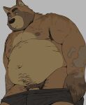  2022 anthro belly big_belly bodily_fluids brown_body canid canine clothing genitals hi_res humanoid_hands kemono leoponleopon male mammal moobs nipples overweight overweight_male penis pubes raccoon_dog simple_background solo sweat tanuki undressing 