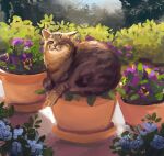  :&lt; animal_focus backlighting blue_flower cat closed_eyes closed_mouth commentary english_commentary flower full_body highres kay_(kf1n3) no_humans original photo-referenced plant potted_plant purple_flower sitting solo 