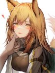  1girl 1other :p absurdres all_fours animal_ears arknights bangs blonde_hair blush breasts ceobe_(arknights) dog_ears dog_girl dog_tail eyebrows_visible_through_hair hand_on_another&#039;s_face heart highres large_breasts revision simple_background smile solo_focus tab_head tail tongue tongue_out white_background yellow_eyes 