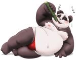  2022 anthro bamboo belly big_belly black_body black_nose blush bulge clothing eating giant_panda humanoid_hands japanese_text kemono male mammal meg_hoi moobs navel nipples overweight overweight_male solo text underwear ursid white_body 