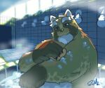  2022 anthro bath bathhouse canid canine detailed_background hi_res humanoid_hands inside male mammal mature_male overweight overweight_male raccoon_dog solo tanuki vestforlast water 