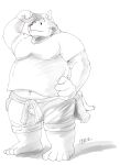  2022 absurd_res anthro belly big_belly bottomwear canid canine canis clothing domestic_dog hat headgear headwear hi_res humanoid_hands kemono male mammal overweight overweight_male shirt shorts simple_background solo tail_person topwear 