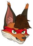  anthro canid canine fox headshot_portrait hi_res male mammal naughty_face portrait smile solo thux-ei 
