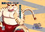  2022 absurd_res anthro belly big_belly blush bottomwear bulge clothing cover felid hi_res humanoid_hands japanese_text kemono male mammal mohumohudansi moobs nipples overweight overweight_male pantherine shorts sitting solo text tiger 