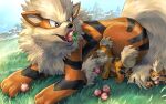  arcanine berry_(pokemon) black_eyes day grass growlithe level-00 mountainous_horizon no_humans one_eye_closed outdoors pecha_berry pokemon pokemon_(creature) 