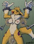  4_fingers anthro bandai_namco black_sclera blue_eyes bound breasts canid canine claws digimon digimon_(species) female fingers fur genitals henbe hi_res laugh mammal nipples pussy renamon small_breasts tickling tickling_armpits tickling_pussy tuft yellow_body yellow_fur 