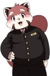  2022 ailurid anthro belly blush bottomwear clothing dokyudokyu1 hi_res humanoid_hands kemono male mammal overweight overweight_male pants red_body red_panda shirt simple_background solo topwear white_background 