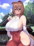  1girl animal_ears breasts brown_hair dog_ears dog_girl dog_tail japanese_clothes large_breasts looking_at_viewer miko no_panties original purple_eyes short_hair shrine tail thighs yoshikawa_hideaki 