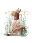  1girl animal_ears brown_eyes brown_hair centauroid child closed_mouth completely_nude deer_girl flower from_behind monster_girl mullmull02 nude original simple_background sitting solo taur white_background yellow_flower 