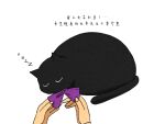  1girl animal black_cat bow bowtie cat chinese_commentary chinese_text closed_eyes commentary_request dressing fors_wall fyy2333 highres klein_moretti lord_of_the_mysteries nail out_of_frame purple_bow purple_bowtie simple_background sleeping translation_request white_background zzz 