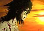  bleach blood dark_hair green_eyes tagme ulquiorra_schiffer 