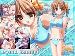  1girl animal_ears bikini bra breast_grab breasts brown_eyes brown_hair bunny_ears censored character_name cleavage frilled_bikini frills fumio_(ura_fmo) game_cg grabbing hair_ribbon hetero kunugi_ayano lingerie long_hair medium_breasts mosaic_censoring paizuri penis pia_carrot_(series) pia_carrot_e_youkoso!!_g.o. ribbon sex side-tie_bikini smile swimsuit twintails underwear vaginal waitress wallpaper 