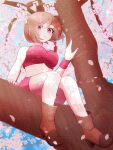  1girl brown_hair cherry_blossoms from_below highres kalm3535 looking_at_viewer looking_down meiko midriff miniskirt outdoors red_eyes short_hair sitting_on_branch skirt sleeveless solo vocaloid 
