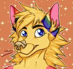  anthro beschmeelzebub blue_eyes canid canine closed_mouth digital_media_(artwork) eyebrows fox fur headshot hi_res inner_ear_fluff male mammal multicolored_ears pink_ears rainbow_ears red_arms red_body red_fur red_kitters shaded simple_shading smile solo star tuft yellow_body yellow_fur 
