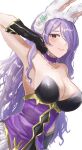  armpits breasts camilla_(fire_emblem) fire_emblem fire_emblem_heroes large_breasts leon0630claude 