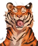  2022 ambiguous_gender black_stripes digital_media_(artwork) felid feral flashlioness fur mammal open_mouth orange_body orange_fur pantherine simple_background solo striped_body striped_fur stripes teeth tiger tongue whiskers white_background 