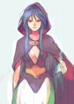  1girl blue_eyes blue_hair breasts breath_of_fire breath_of_fire_i closed_mouth deis highres hood kannoaki lamia long_hair looking_at_viewer monster_girl simple_background smile solo 