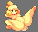  animal_crossing anthro breasts canid canine canis colored domestic_dog female fur genitals isabelle_(animal_crossing) looking_at_viewer mammal nintendo nipples nude pussy solo thick_thighs video_games wolfsammy yellow_body yellow_fur 