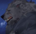  anthro ariyakonsuay blaidd_(elden_ring) canid canine canis cloak clothing elden_ring fangs fromsoftware fur grey_body grey_fur hi_res looking_aside male mammal night open_mouth purple_eyes scar sky solo star starry_sky teeth video_games whiskers wolf 