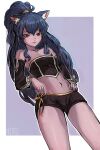  1girl animal_ear_fluff animal_ears artist_name bare_shoulders black_shirt black_shorts blue_hair border breasts brown_kemomimi-chan_(krr) cameltoe commission crop_top dark-skinned_female dark_skin detached_sleeves dungeon_and_fighter hair_between_eyes hand_on_hip highres jacket long_hair long_sleeves looking_down midriff navel nutro original outside_border ponytail purple_background red_eyes shirt short_shorts shorts sidelocks signature skin_tight smile solo stomach strapless thighs very_long_hair white_border wolf_ears 