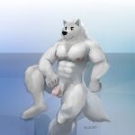  1:1 2022 abs anthro artist_name balls black_eyebrows black_nose brown_eyes canid canine canis digital_media_(artwork) domestic_dog eyebrows feet flaccid fluffy foreskin fur genitals hi_res humanoid_genitalia humanoid_hands humanoid_penis looking_at_another male mammal muscular muscular_anthro muscular_male nipples nordic_sled_dog nude pecs penis samoyed simple_background solo spitz toes uiojk white_body white_fur 