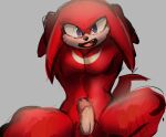  anthro echidna erection fur genitals hands_behind_head hi_res humanoid_genitalia humanoid_penis knuckles_the_echidna male mammal monotreme muscular muscular_male pecs penis purple_eyes red_body red_fur royer27_xd sega simple_background solo sonic_the_hedgehog_(series) 