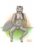  anthro canid canine canis female hi_res mammal n2o nude solo wolf 