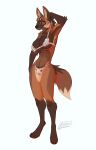  2022 absurd_res anthro barefoot biped bra breasts canid canine canis clothing domestic_dog feet female ferima hi_res mammal simple_background solo standing underwear white_background 