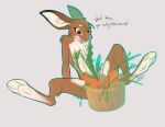  2022 anthro barefoot basket breasts carrot container convenient_censorship dialogue english_text feet female ferima food hi_res lagomorph leporid mammal maylis nude plant rabbit solo text vegetable 
