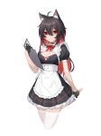  1girl absurdres animal_ear_fluff animal_ears apron bangs bell black_dress black_gloves black_hair blood blood_on_clothes blood_on_knife bow bowtie breasts butcher_knife cat_ears cleavage collar cropped_legs dress eyebrows_visible_through_hair frilled_dress frills garter_straps gloves highres holding holding_knife holding_menu honkai_(series) honkai_impact_3rd jingle_bell kemonomimi_mode knife large_breasts long_hair looking_back maid menu multicolored_hair neck_bell parted_lips pleated_dress red_bow red_bowtie red_hair seele_vollerei shaded_face shenqi_xiao_hong_zai_nali short_sleeves simple_background smile solo thighhighs two-tone_hair white_apron white_background white_legwear zettai_ryouiki 