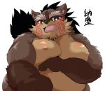  2022 absurd_res anthro belly big_belly blush brown_body brown_fur canid canine fur hi_res humanoid_hands kemono male mammal momochi_sandayuu moobs nipples overweight overweight_male raccoon_dog sengoku_puzzle simple_background solo tanuki video_games white_background yamatoji201 