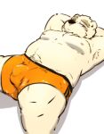  2022 anthro balls_outline belly big_belly bulge clothing genital_outline hi_res kemono leib_(tas) lifewonders lying male mammal moobs nipples overweight overweight_male penis_outline polar_bear simple_background solo tokyo_afterschool_summoners torausimuma7 underwear ursid ursine video_games white_background 
