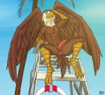  2022 abs accipitrid accipitriform anthro anus avian bald_eagle beach beak biceps bird brown_body claws detailed_background digital_media_(artwork) eagle erection eyewear feathered_wings feathers genitals glasses hi_res lifeguard looking_at_viewer male mono-fur muscular muscular_anthro muscular_male nipples nude outside palm_tree penis plant sea_eagle seaside sky slit smile solo spread_legs spreading tapering_penis tree white_body white_feathers wings yellow_beak 