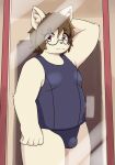  anthro brown_hair bulge chubby_belly chubby_male clothed clothing crossdressing domestic_cat eyewear felid feline felis flaccid fur genitals hair looking_at_viewer male mammal mirror overweight overweight_male penis red_eyes reiko_u simple_background slightly_chubby solo solo_focus swimwear yellow_body yellow_fur 