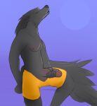  anthro balls bottomwear bottomwear_down bottomwear_pull canid canine canis clothed clothing clothing_pull erection genitals hi_res howl male mammal nipples pants pants_down pants_pull partially_clothed penis pubbi shaded simple_background simple_shading solo were werecanid werecanine werewolf wolf 
