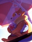  black_eyes blurry blush buizel commentary_request from_below highres mouth_hold nen_(vprr3238) no_humans pokemon pokemon_(creature) pot shaved_ice sitting solo umbrella 