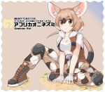  1girl :o absurdres animal_ear_fluff animal_ears bangs bare_arms belt boots border breasts brown_hair brown_vest character_name cleavage collared_vest cross-laced_footwear eyebrows_visible_through_hair eyeshadow fingerless_gloves full_body fur_collar gambian_rat_(kemono_friends) gloves hair_between_eyes highres japari_symbol kemono_friends knee_pads knee_up lace-up_boots light_brown_hair looking_at_viewer makeup medium_breasts medium_hair mouse_ears mouse_girl mouse_tail multicolored_clothes multicolored_hair multicolored_pants open_clothes open_vest pants parted_lips print_pants shirt short_sleeves sitting solo spread_legs tail vest white_gloves white_hair white_shirt wonderful_waon 