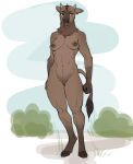  anthro bison bovid bovine breasts female fingers fist genitals gewitter grass hi_res hooves horn humanoid_hands mammal navel nipples nude outside plant pussy solo yellow_eyes 