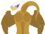 2019 alpha_channel avian beak blush brown_body brown_feathers butt feathered_wings feathers female feral friendship_is_magic gilda_(mlp) gryphon long_tail melodytheartpony my_little_pony mythological_avian mythology raised_tail rear_view simple_background tail_tuft transparent_background tuft white_body white_feathers wings yellow_eyes 