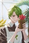  1boy apron botanical_garden buttons cookie_run eyebrows flower food green_eyes green_hair herb_cookie highres humanization leaf looking_at_viewer personification plant potted_plant rowon short_hair smile solo 