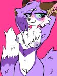  ambiguous_gender anthro breasts canid canine cassiuskitsune fallenfoxie female fur genitals mammal nipples nude pussy simple_background smile solo 