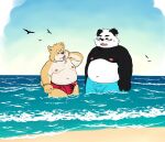  2022 anthro beach belly big_belly black_body blush brown_body bulge canid canine canis clothing domestic_dog duo eyes_closed giant_panda hi_res humanoid_hands kemono male mammal moobs nipples outside sangguri_32 seaside swimwear tongue tongue_out ursid water white_body 