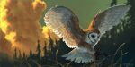  animal_focus bird blurry blurry_background cloud cloudy_sky english_commentary flying foreshortening forest grass highres hunting nature no_humans original outdoors owl realistic scenery sky spread_wings taran_fiddler tree 